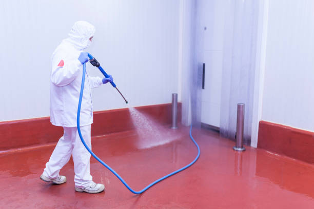 Best Spring Cleaning  in Crosby, TX